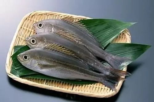 水产品与日用百货 织密监管防护网，守护消费安全线