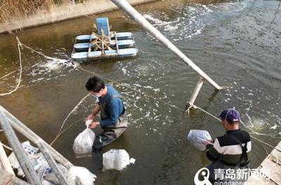 实拍台东餐饮有序复工 堂食需登记，部分小吃恢复营业，日用百货正常供应