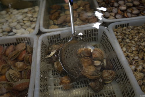 探访北京海鲜市场 水产品的多元世界