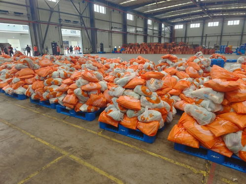 加强农产品市场供应 保障宁波菜篮子货足价稳