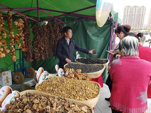 中俄150余家庭走进塞北延安 感受北安红色文化魅力，体验初级农产品的乡土情