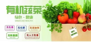 有机蔬菜凭什么动辄比普通蔬菜贵三五倍？